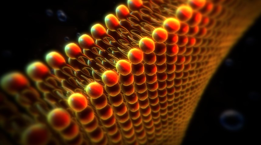 Creating a Medical Illustration in CINEMA 4D + Project Files