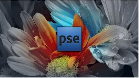 Mastering Photoshop Elements 12 Made Easy Training Tutorial