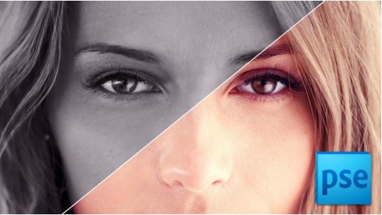 Master Adobe Photoshop Elements 12 the Easy Way – 14 Hours
