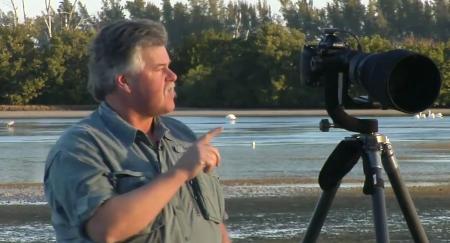 Photographing Florida Birds