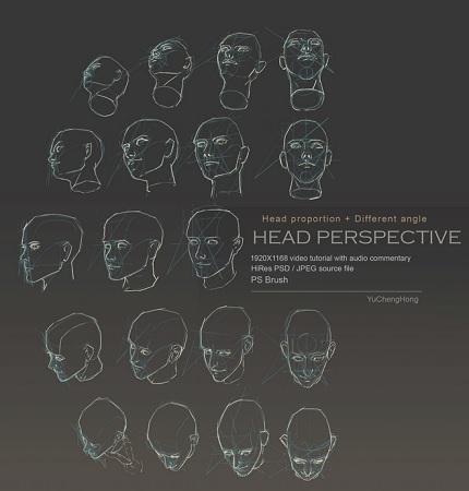 Gumroad – Head Perspective by Yu Cheng Hong
