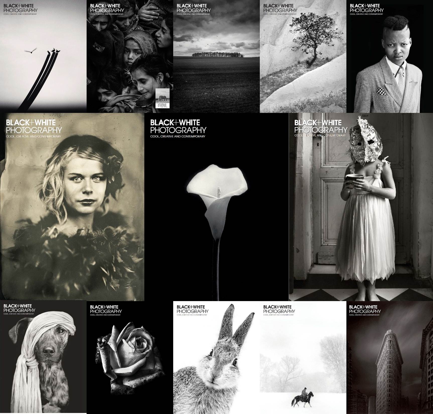 Black & White Photography – 2015 Full Year Issues Collection-P2P