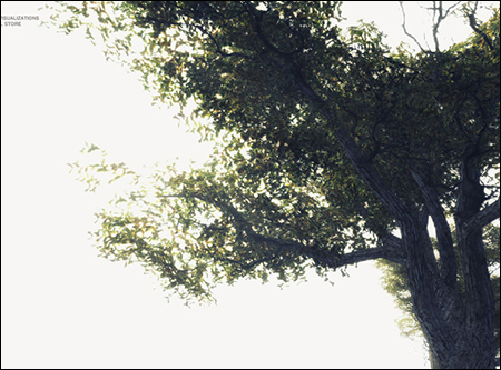27 Mixed Vegetation Assets For Games
