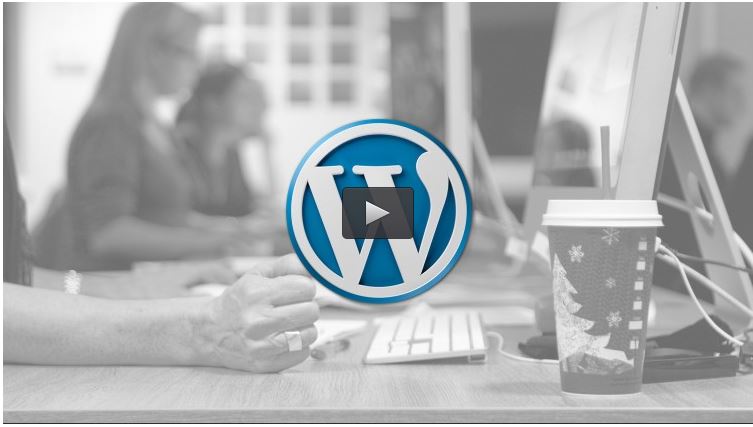 Build Your Own Damn WordPress Theme!