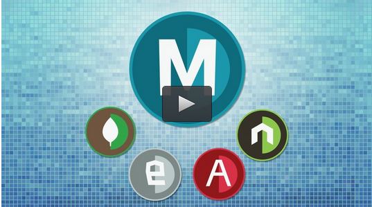 Learning Web Development with the MEAN Stack