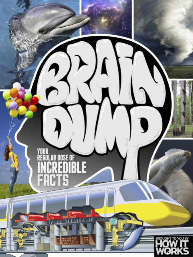 How It Works: Brain Dump – Issue 28 2015-P2P