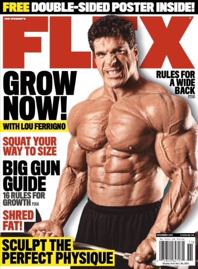 Flex USA – November 2015-P2P